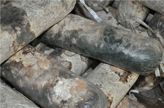 DSC_0425.JPG DSC_0425.JPG