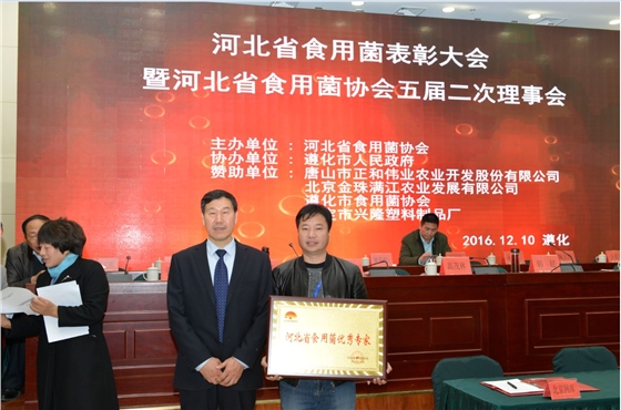 河北省食用菌協(xié)會(huì)會(huì)長(zhǎng)孫利英（左）為張東平頒發(fā)&ldquo;河北省食用菌優(yōu)秀專(zhuān)家&rdquo;榮譽(yù)牌匾.JPG（截屏）.JPG