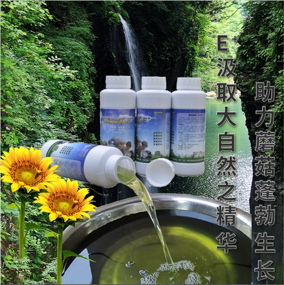 菌諾寶利E+（網(wǎng)頁(yè)-12）E+汲取大自然之精華，助力蘑菇蓬勃生長(zhǎng)