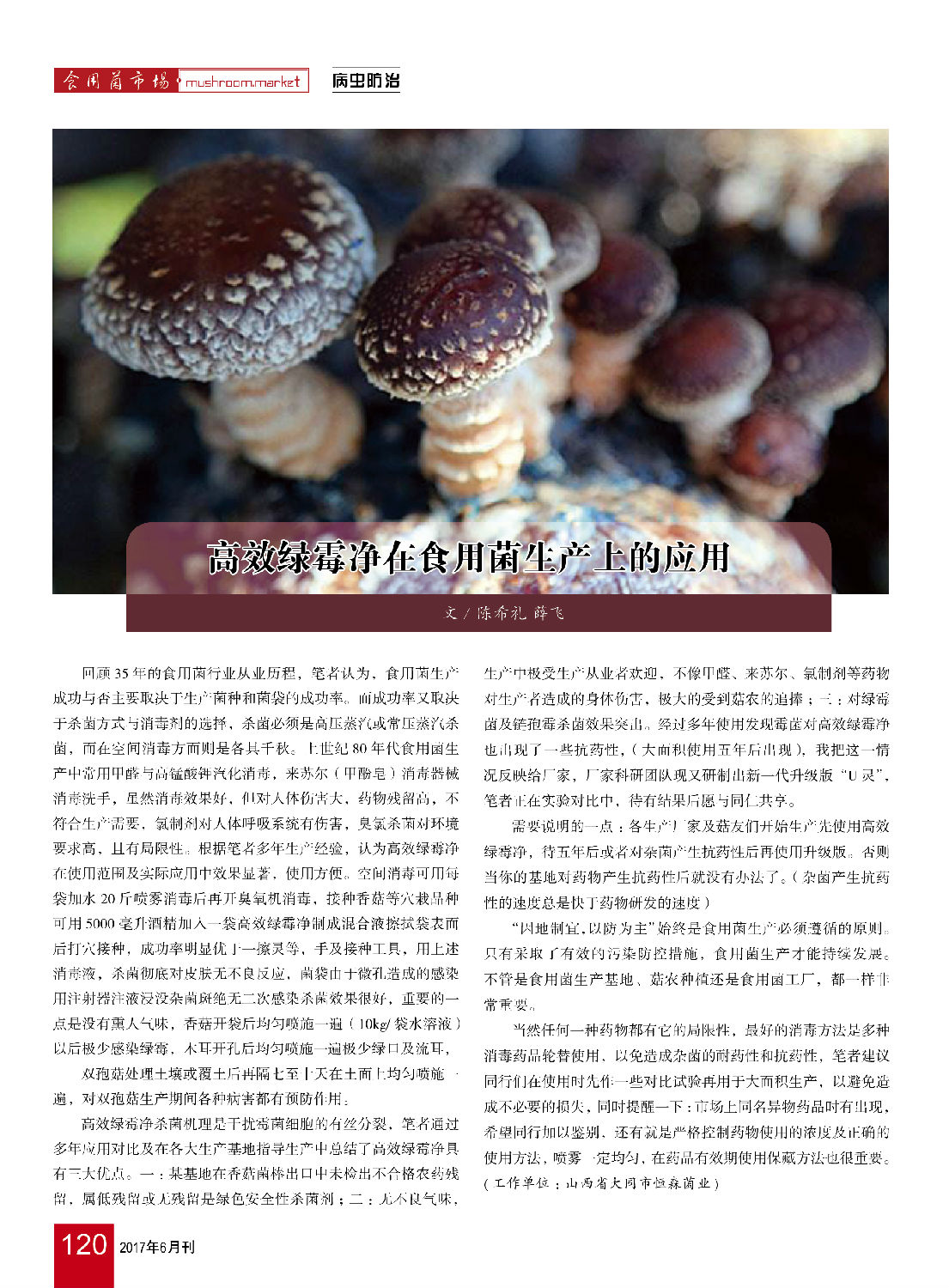 《高效綠霉凈在食用菌生產(chǎn)上的應(yīng)用》食用菌市場(chǎng)2017年第6期-陳希禮.jpg