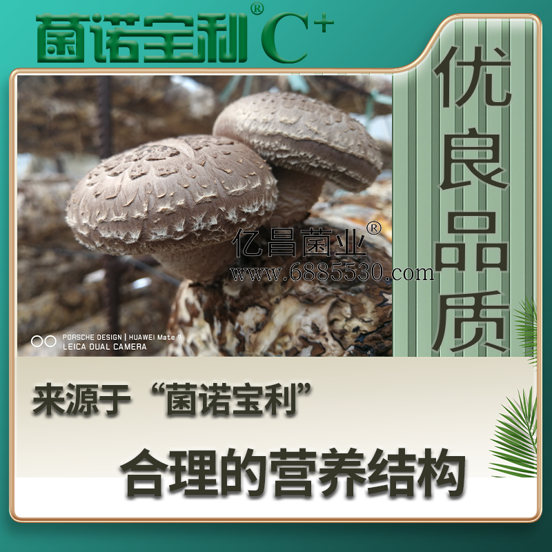 億昌菌業(yè)菌諾寶利C+：注水C+（網(wǎng)頁(yè)版）PC-4（優(yōu)良品質(zhì)，來(lái)自于&ldquo;菌諾寶利&rdquo;合理的營(yíng)養(yǎng)結(jié)構(gòu)）.png