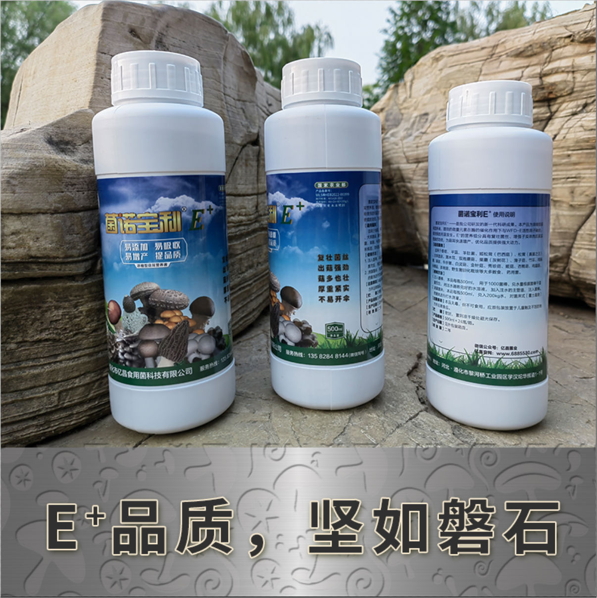 菌諾寶利E+：E+品質(zhì)，堅如磐石