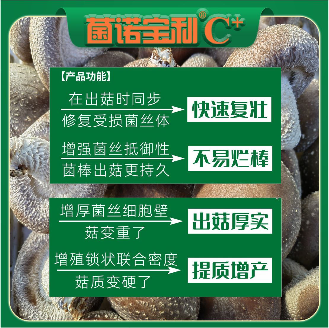 億昌菌業(yè)-2024注水C+（網(wǎng)頁(yè)版）PC-8）產(chǎn)品功能