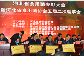 2016.12.10“億昌菌業(yè)”被授予“河北省食用菌優(yōu)秀（特色）品牌”榮譽稱號，張東平（左三）接授縮略圖