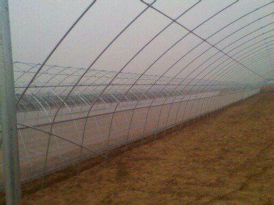 GB 12728—91** 食用菌術(shù)語(yǔ)—億昌菌業(yè)