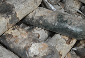 食用菌競(jìng)爭(zhēng)性雜菌的防治方法，億昌菌業(yè)專家給您出高招