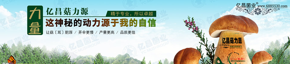 億昌菇力源——讓菇（耳）肥厚、開傘更慢、產(chǎn)量更高、品質(zhì)更佳